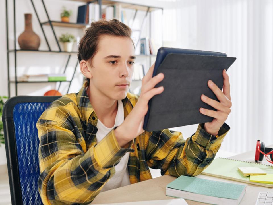 Serious teenage boy using application on digital tablet